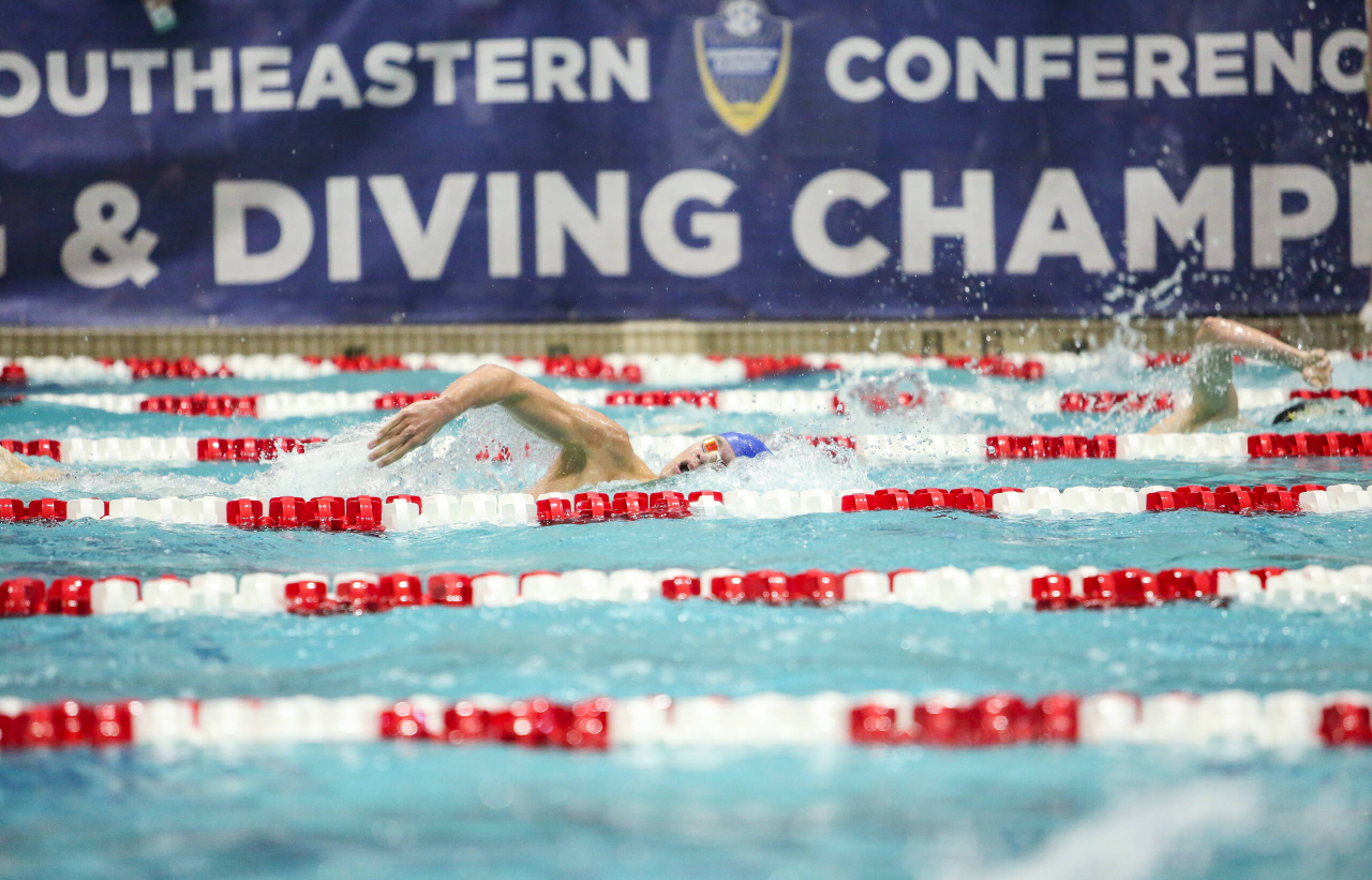 2019 SEC Swimming and Diving Championships