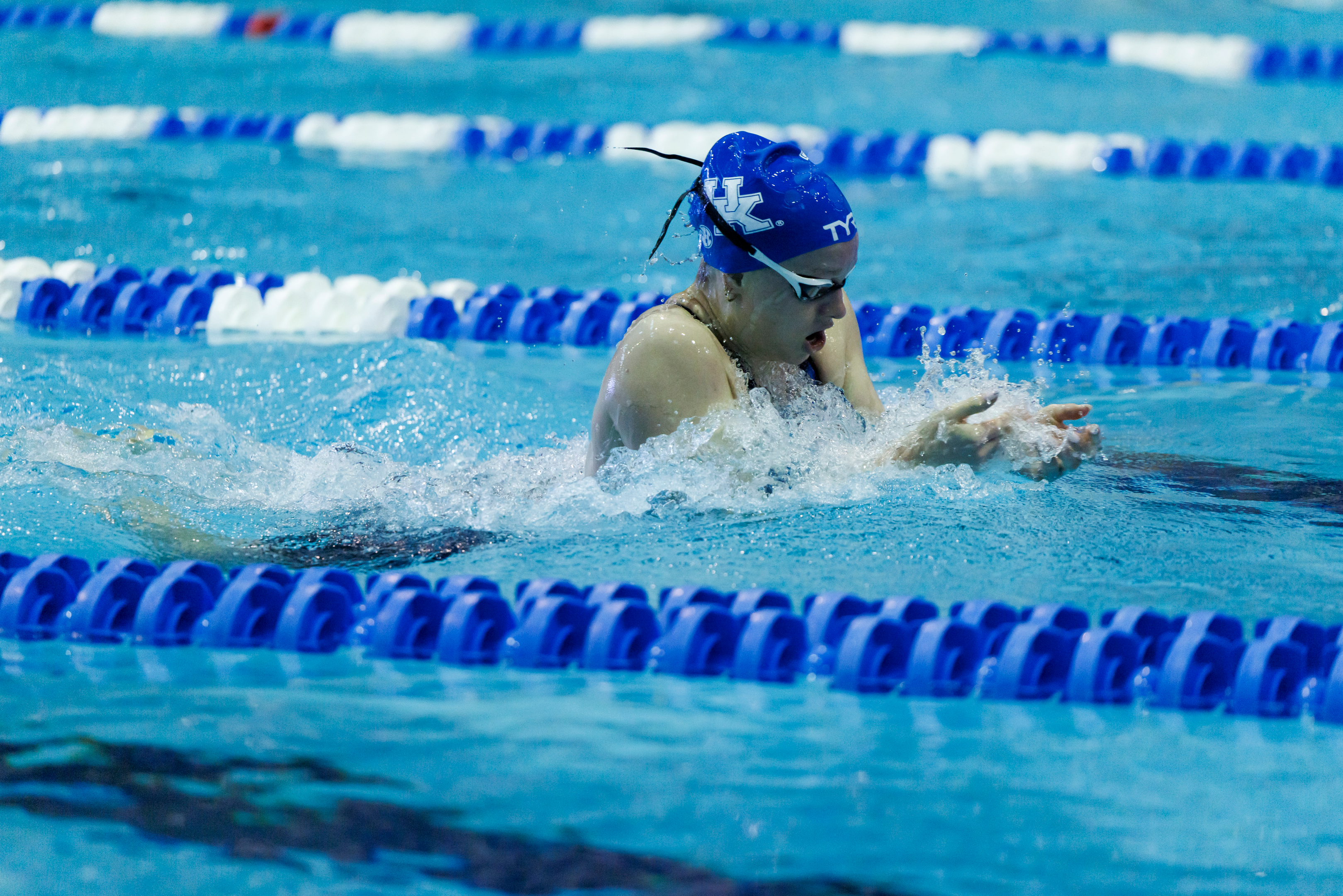 Swim & Dive Compete Once Again this Weekend