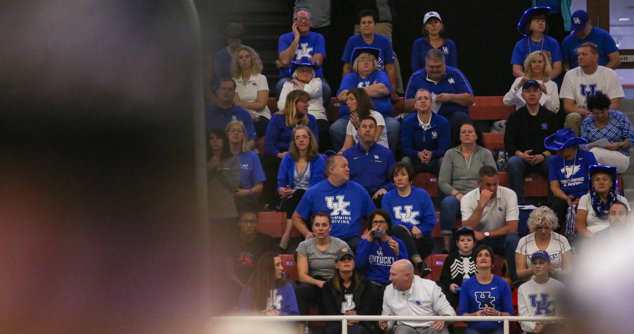 2019 SEC Swimming and Diving Championships