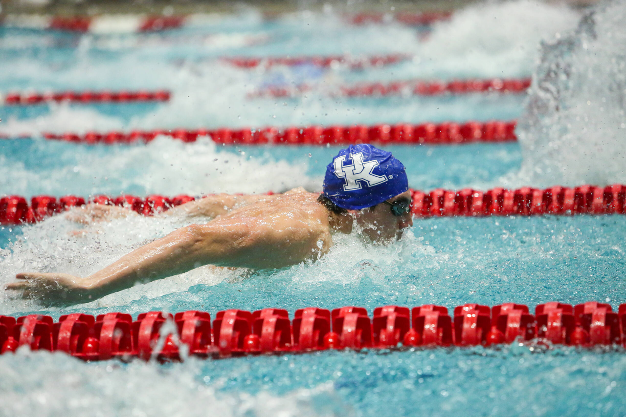 2019 SEC Swimming and Diving Championships