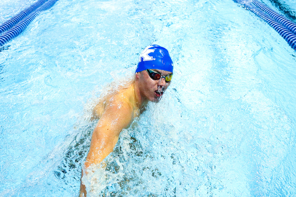 .

Kentucky Swim and Dive Blue and White meet.

Photo by Eddie Justice | UK Athletics
