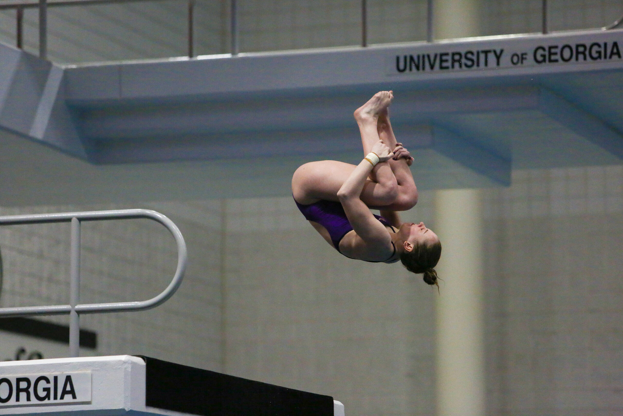 2019 SEC Swimming & Diving Championships