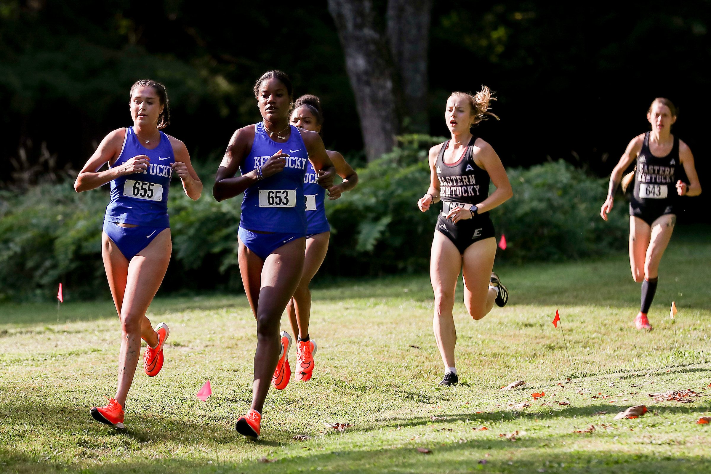 Kentucky Cross Country Heads West to Live in Lou Classic