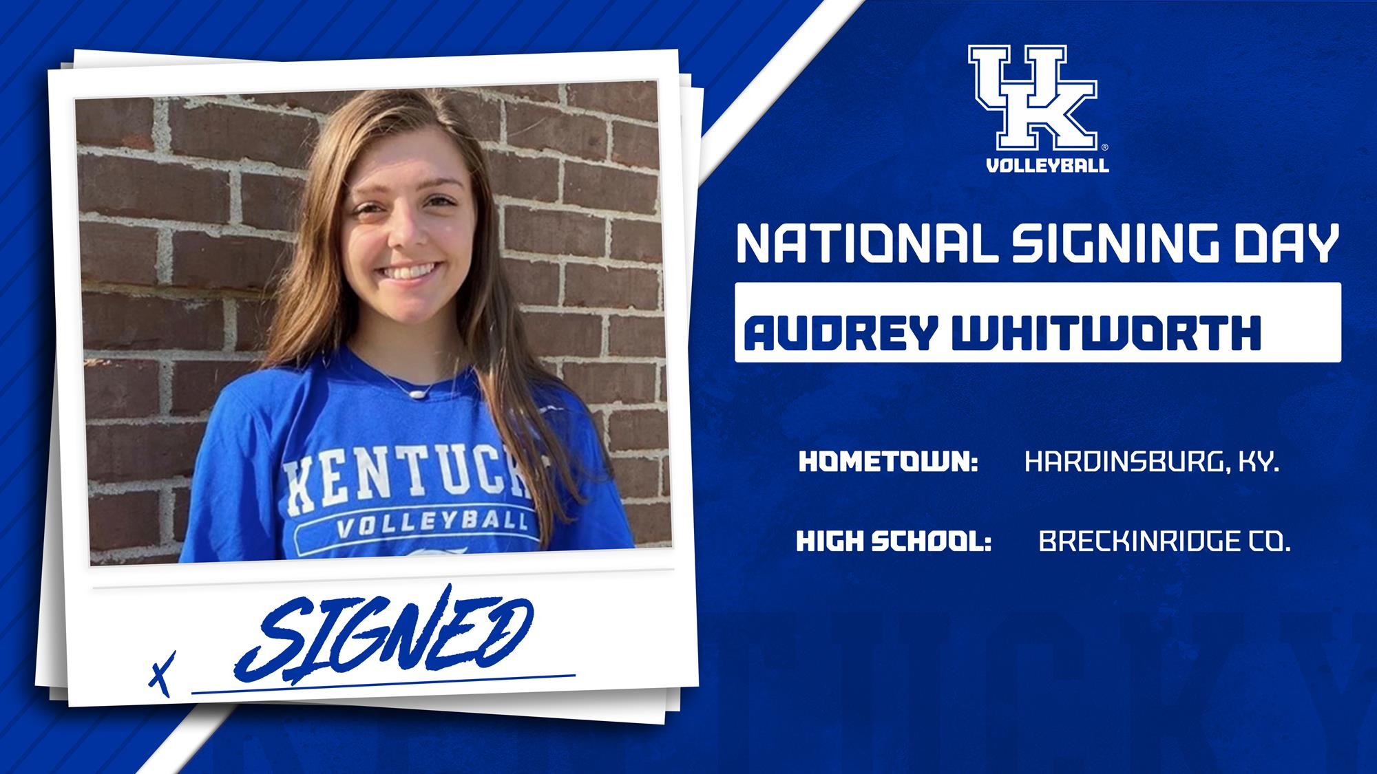 Kentucky Volleyball Announces Addition of Audrey Whitworth