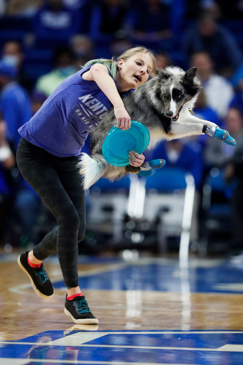 Super Collies.

Kentucky beat Missouri 83-56.

Photos by Chet White | UK Athletics