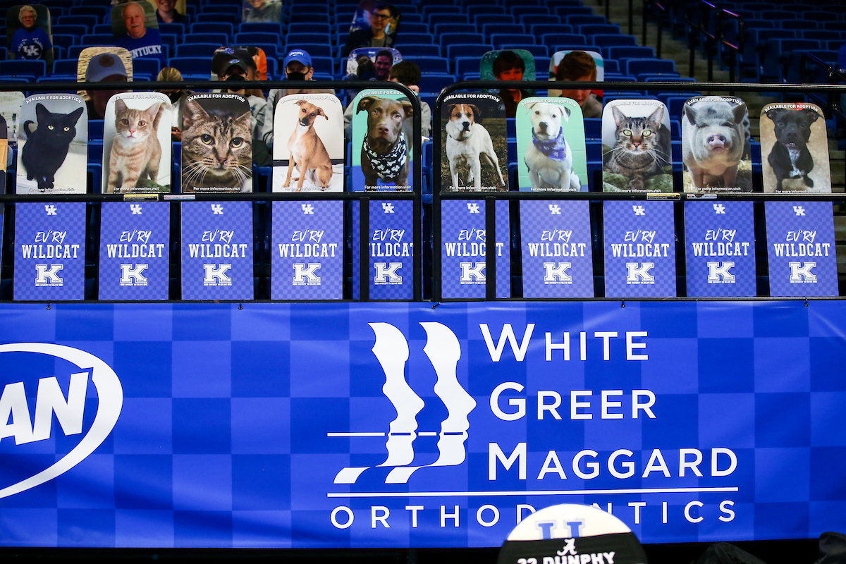 Lexington Humane Society. 

Kentucky beats Alabama 81-68.

Photo by Eddie Justice | UK Athletics