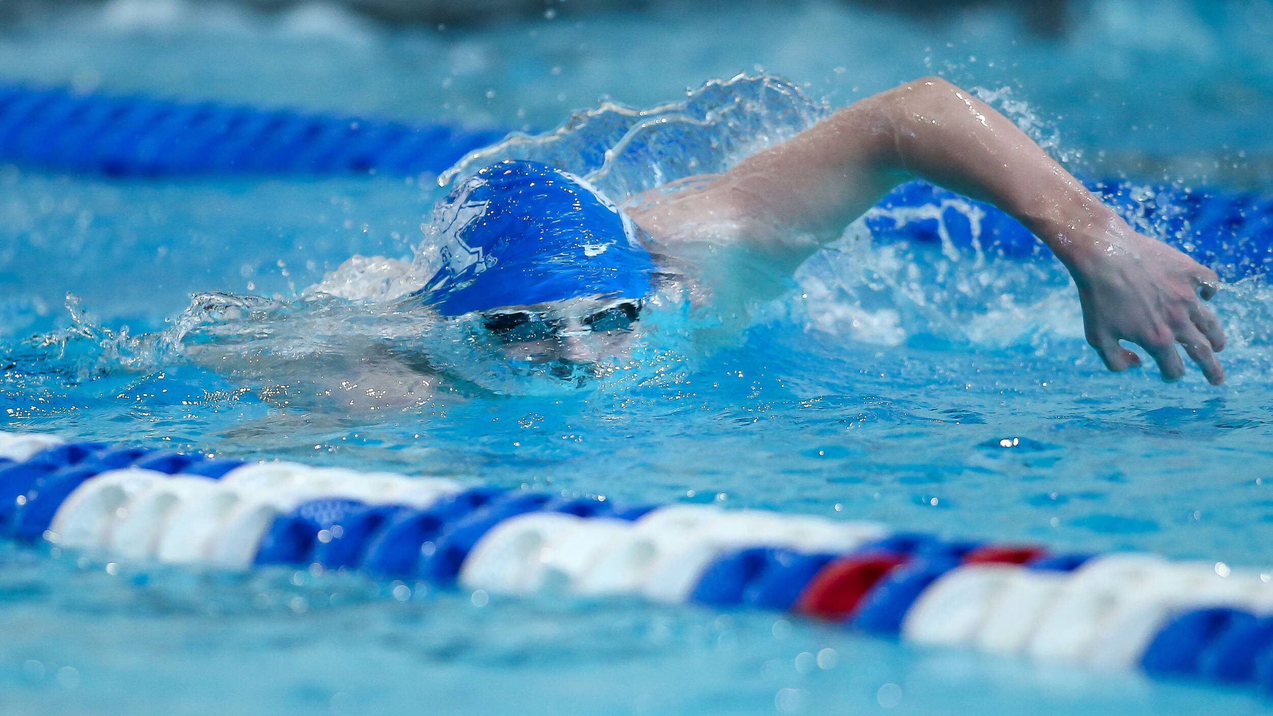 Kentucky Swimmers to Race at Phillips 66 National Championships