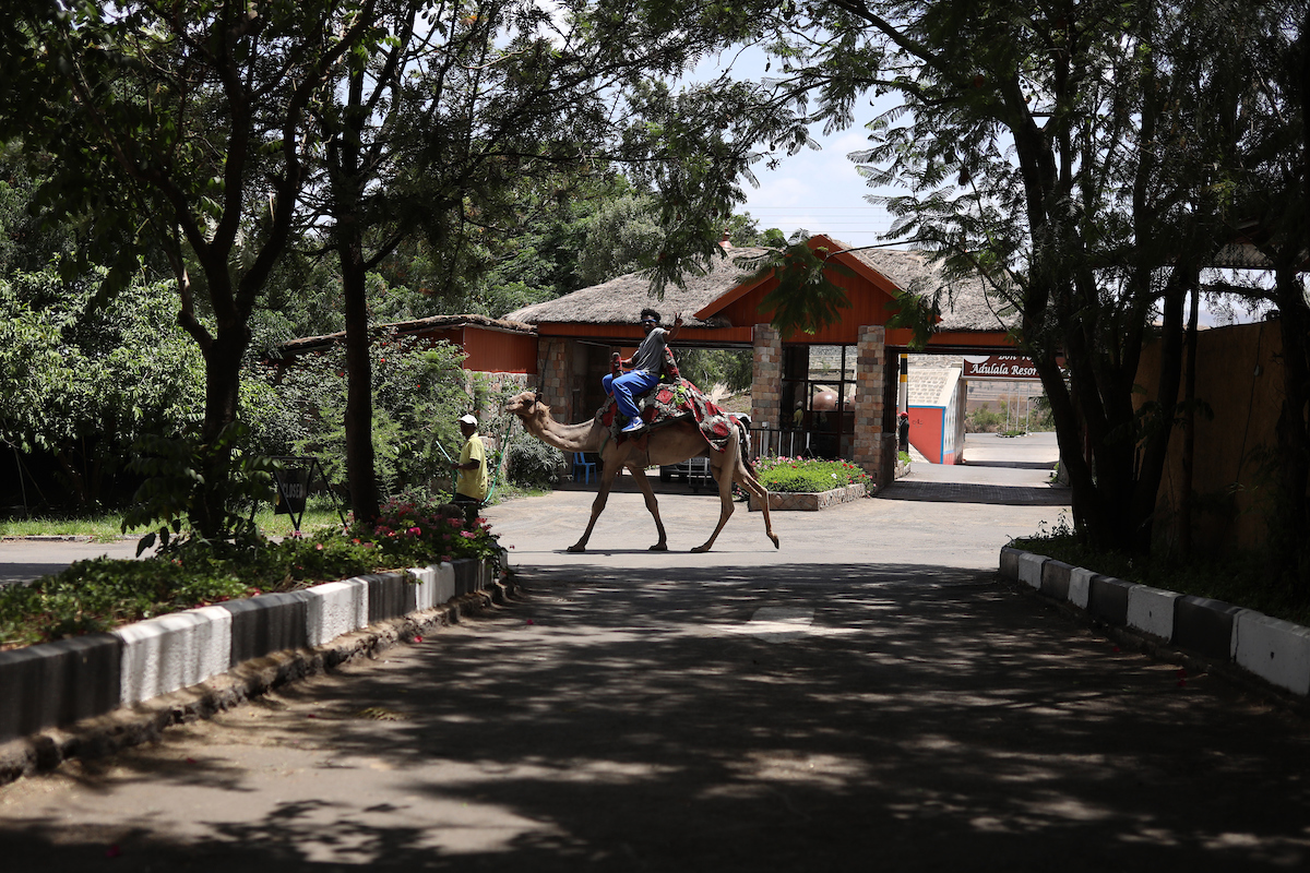 Ethiopia 2019. 

Photo by Quinn Foster | UK Athletics