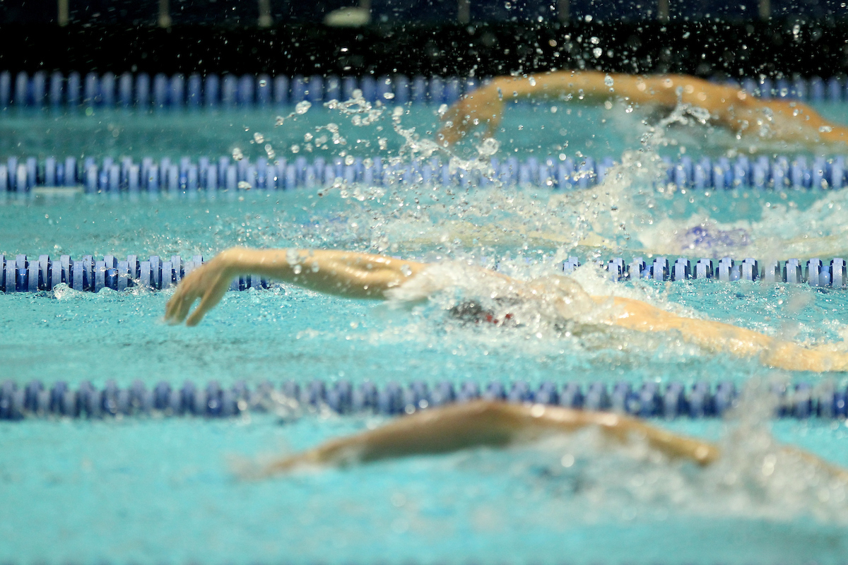 UK Swimming and Diving Friday Gallery UK Athletics