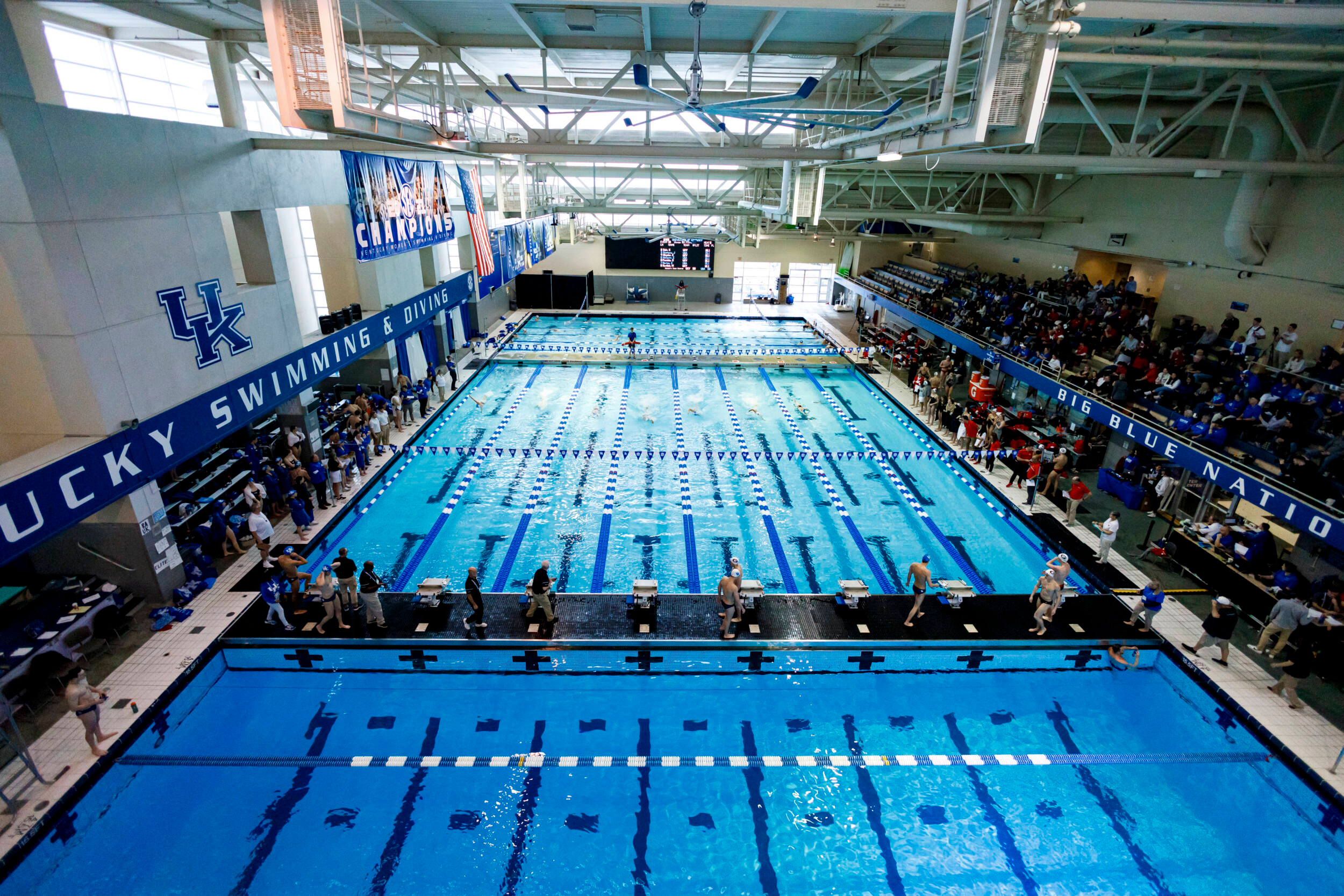 Swim & Dive Hosts Louisville for Senior Day on Saturday
