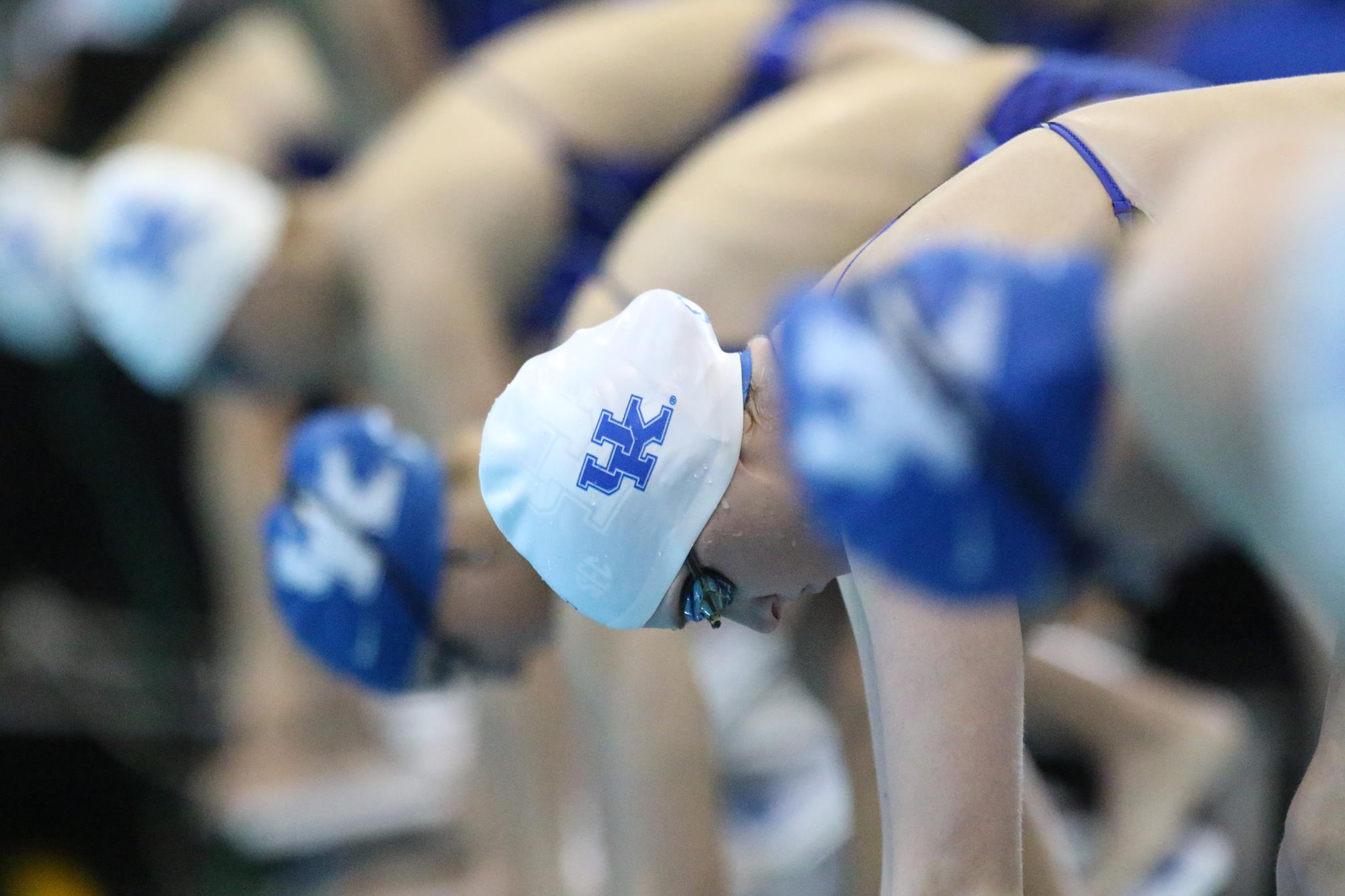 Kentucky Swimming & Diving Scrimmages in Blue-White Meet