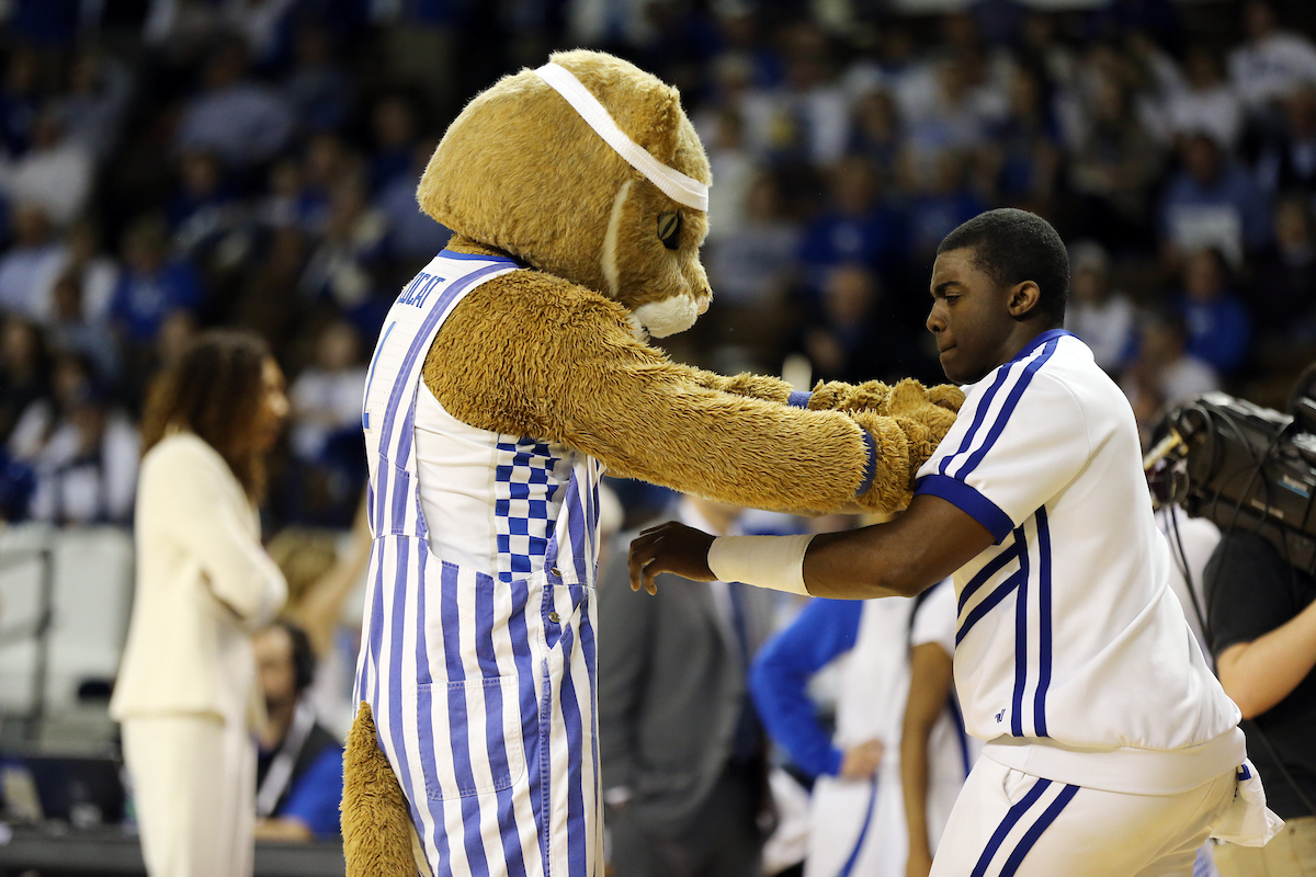 Wildcat

The University of Kentucky women's basketball team falls to Mississippi State on Senior Day on Sunday, February 25, 2018 at the Memorial Coliseum.

Photo by Britney Howard | UK Athletics