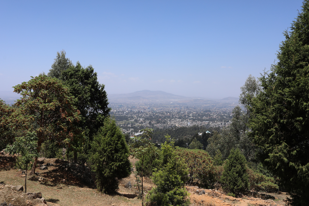 Ethiopia 2019. 

Photo by Quinn Foster | UK Athletics