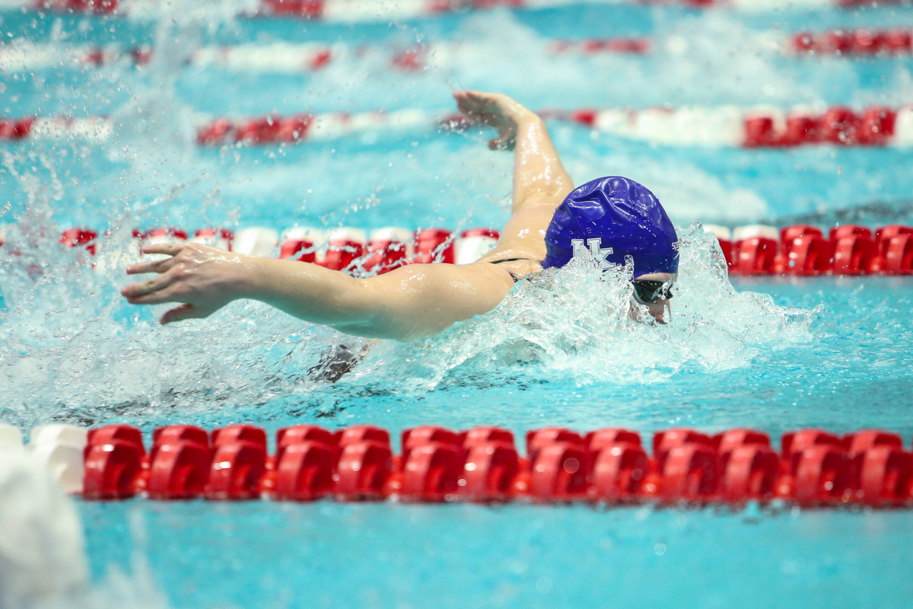 2019 SEC Swimming and Diving Championships