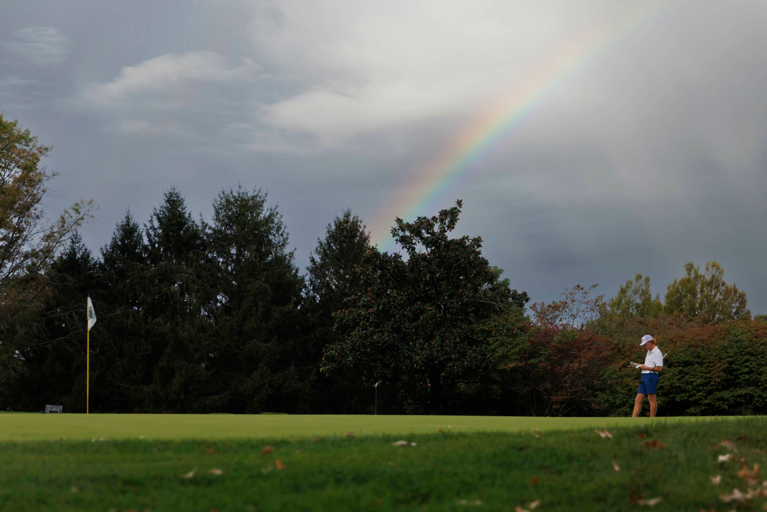 Wildcats In Contention At Cullan Brown Collegiate