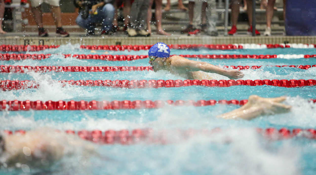 2019 SEC Swimming and Diving Championships