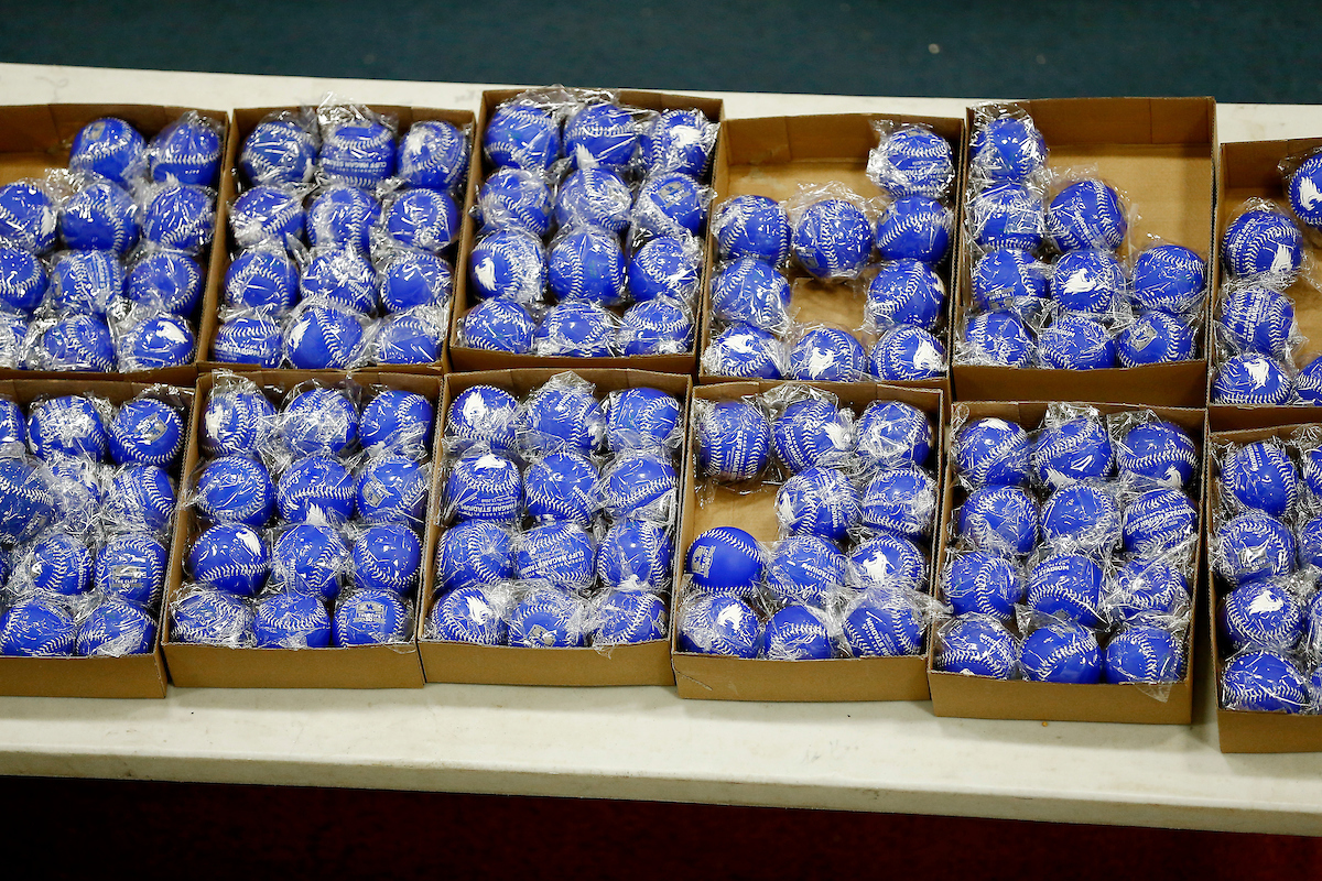 2019 Baseball/Softball Fan Day.

Photo by Chet White| UK Athletics