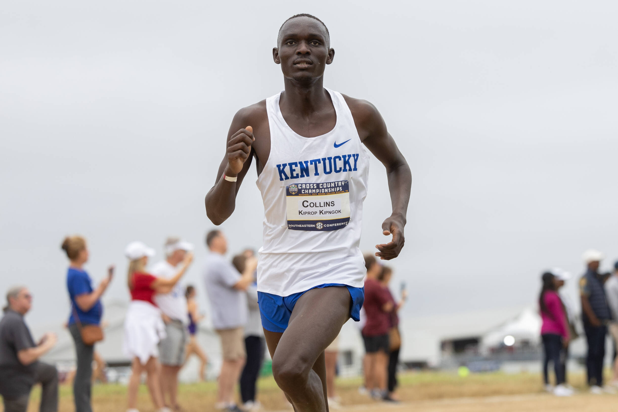 Three Wildcats Earn Top 25 Finishes at SEC Cross Country Championships