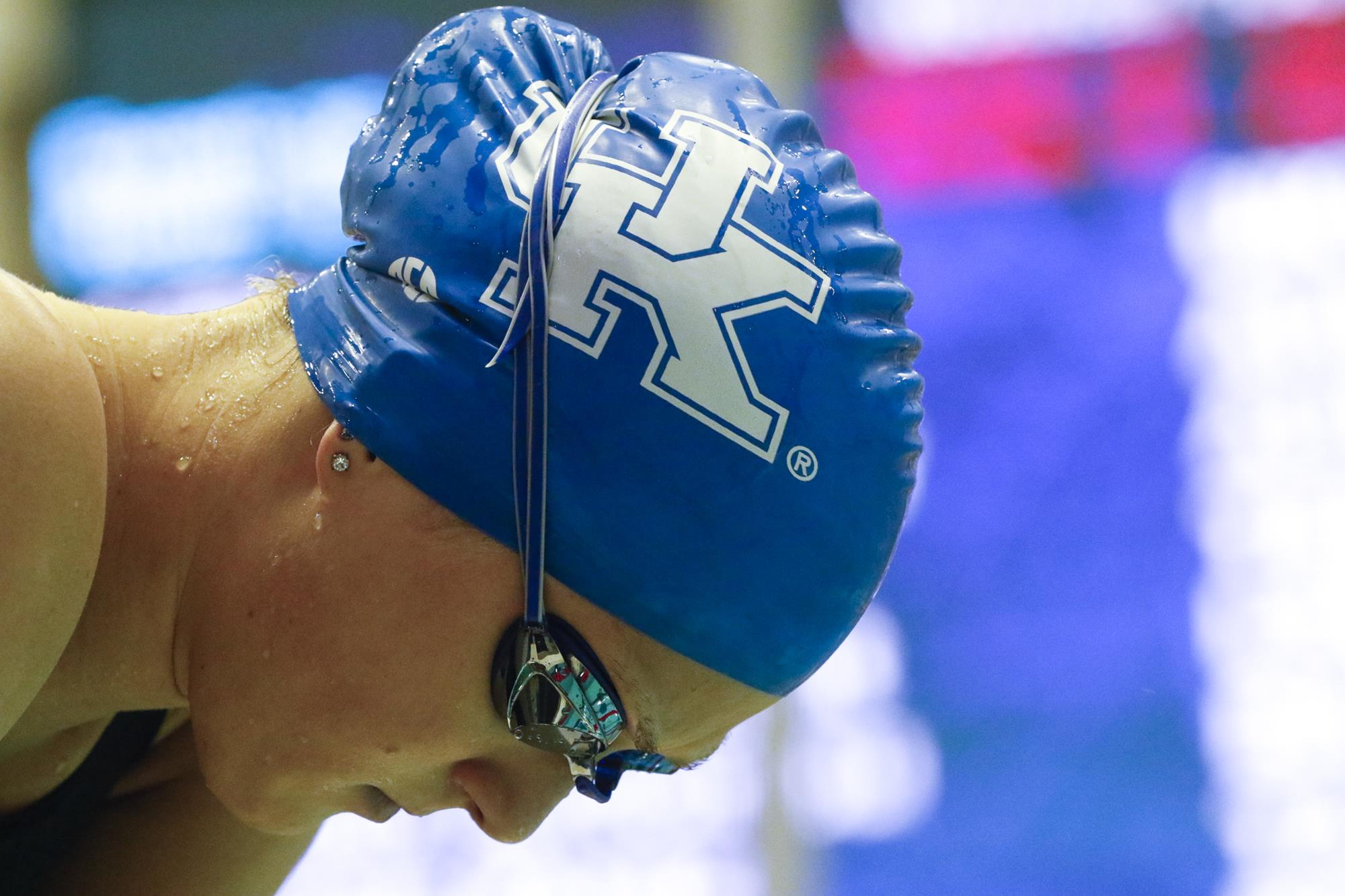 Gaines Resets School Record, Leads No. 10 Kentucky Women’s Swimming & Diving Past No. 19 Louisville
