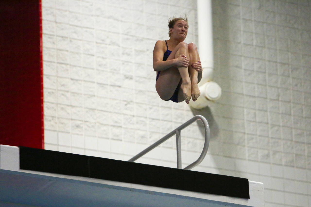 2019 SEC Swimming & Diving Championships