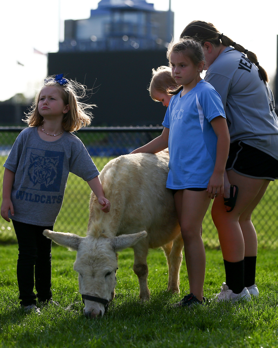 Petting Zoo.

Kentucky loses to Missouri 8-7.

Photo by Grace Bradley | UK Athletics