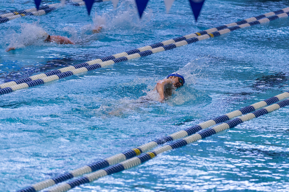 Kentucky Women's Swim/Dive beats Louisville
Kentucky Men's Swim/Dive fall to Louisville.

Photo by Sarah Caputi ?UK Athletics