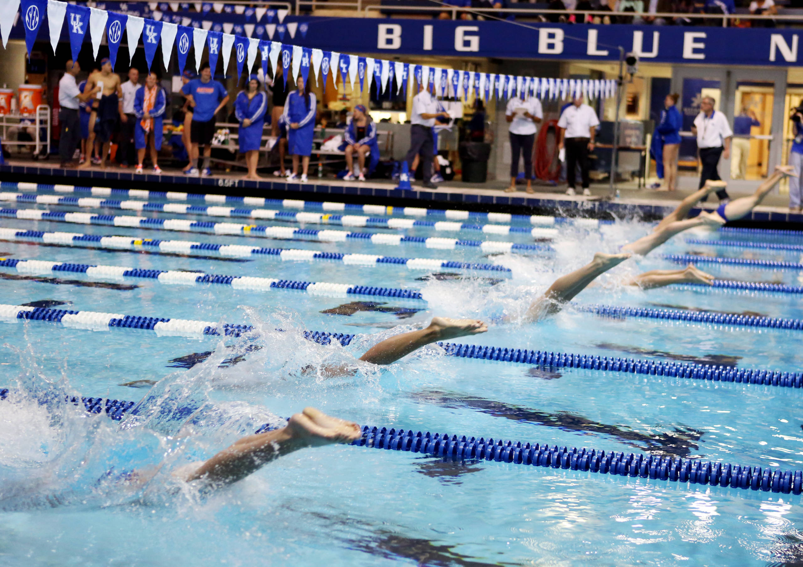 Kentucky Swimming and Diving Announces 2017-18 Schedule