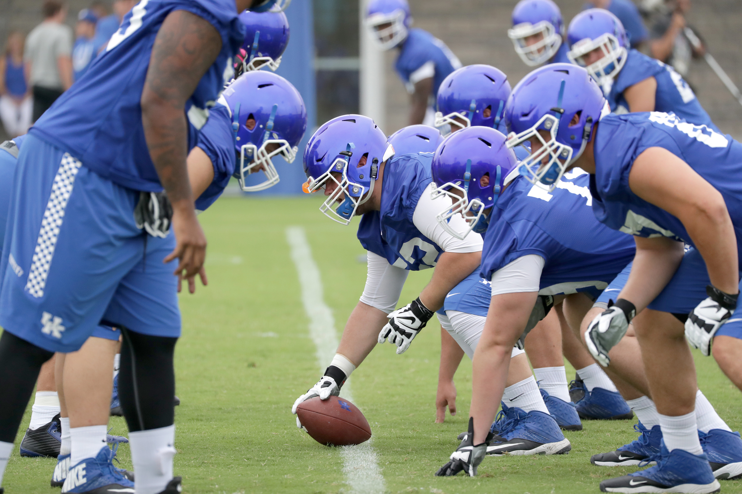 Cats Eager for First Chance to Show Fruits of Their Labor