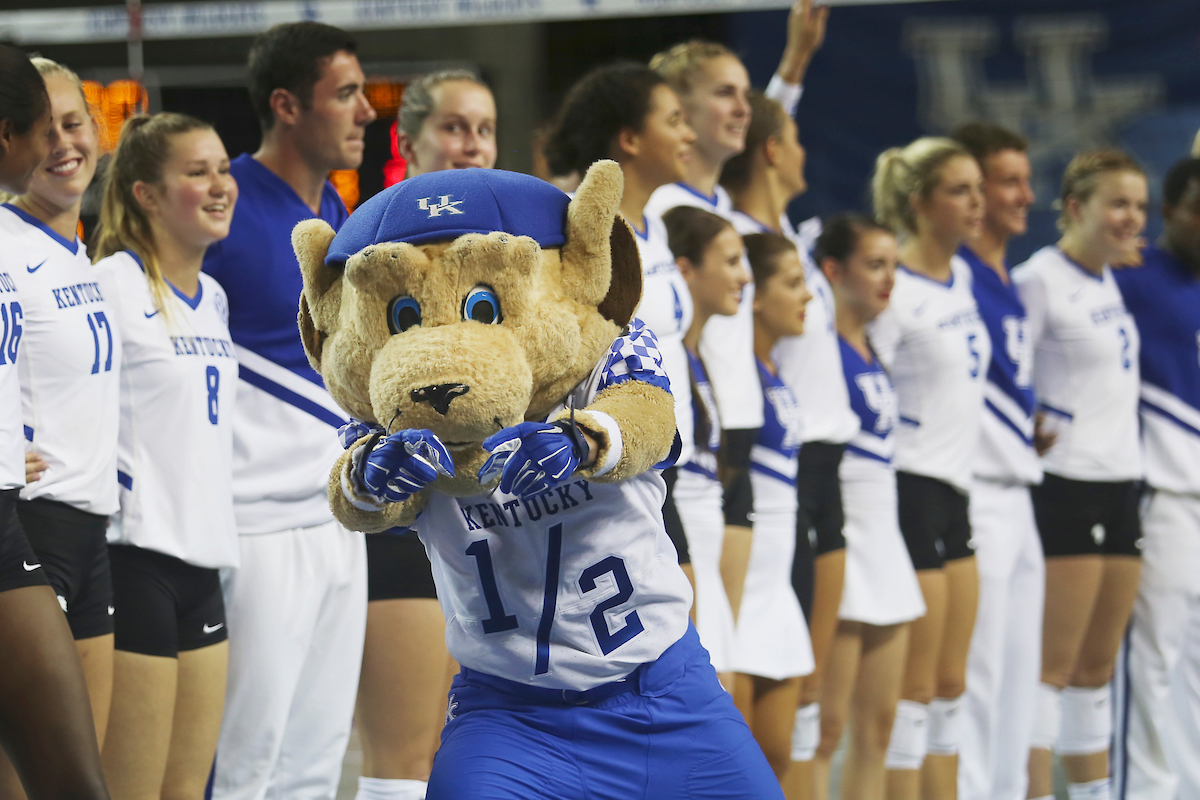 UK volleyball sweeps UT Chattanooga. 

Photo by Quinlan Ulysses Foster I UK Athletics