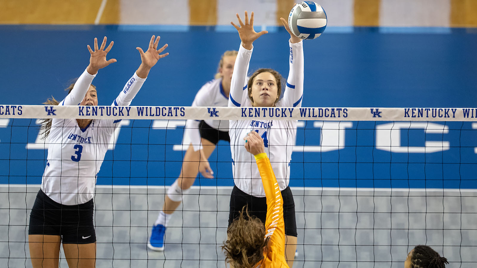 Freshmen Hope to Make Impact on UK Volleyball Team