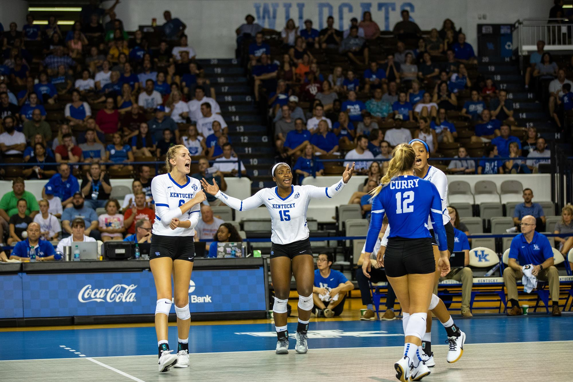 No. 16 Kentucky Sweeps LSU for Third Straight SEC Sweep
