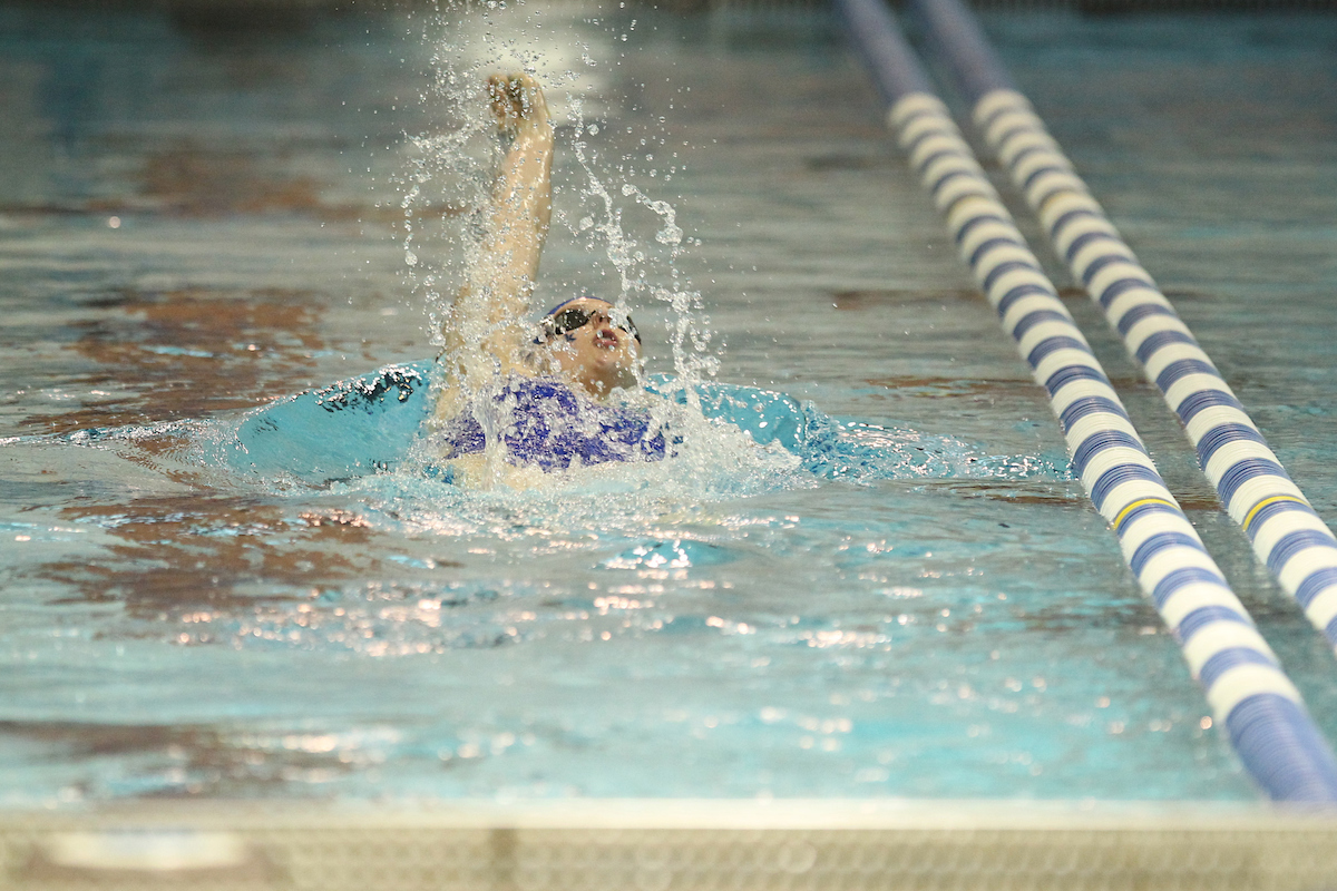 The University of Kentucky swim and dive team during their home meet against Ohio State and Toledo on Friday, January 5th, 2018, at the Lancaster Aquatic Center in Lexington, Ky.

Photo by Quinn Foster I UK Athletics