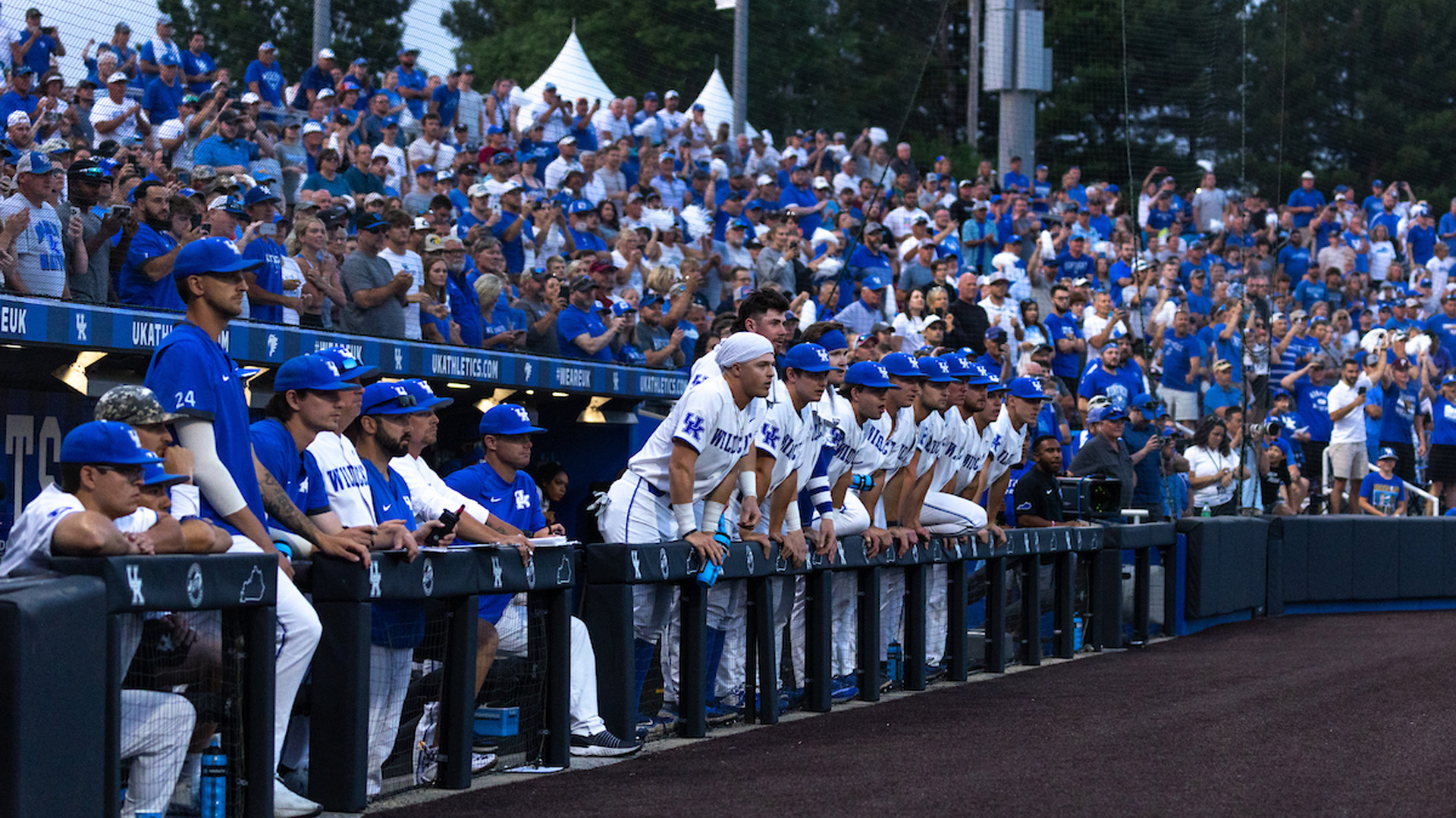 Kentucky Baseball to Face Michigan in Fall Exhibition