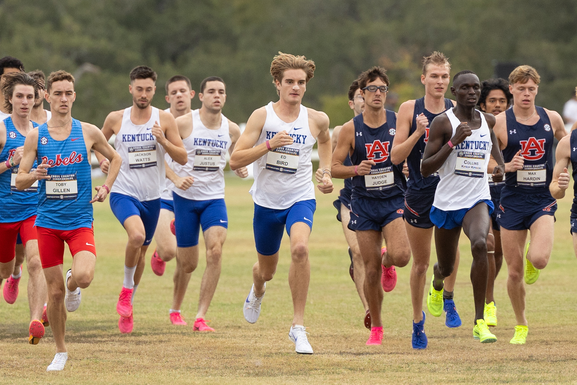 Three Wildcats Earn Top 25 Finishes at SEC Cross Country Championships