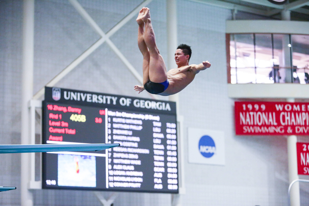 2019 SEC Swimming and Diving Championships