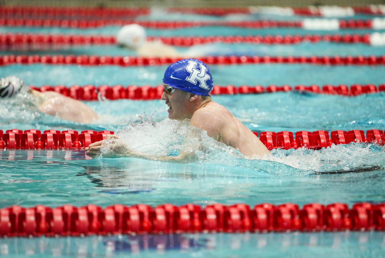 2019 SEC Swimming and Diving Championships