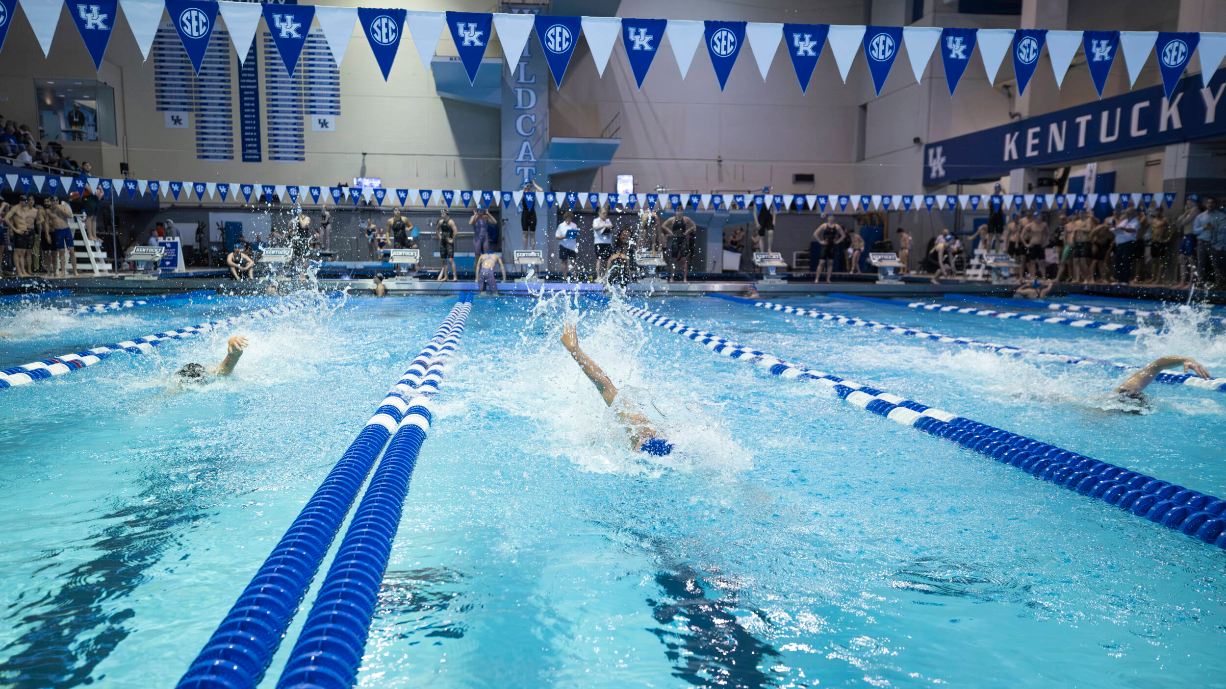 Three From Swim & Dive Head to Louisville First Chance Meet
