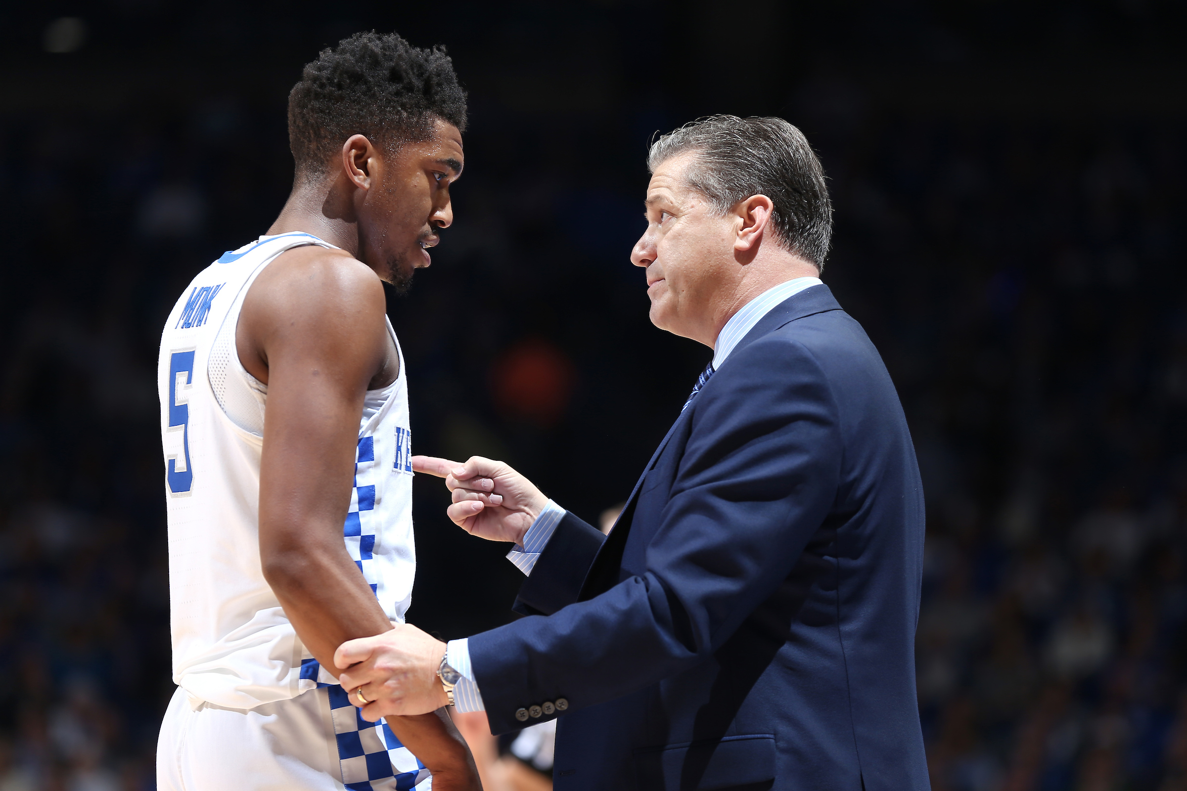 Calipari Challenging Cats to Take Moment-to-Moment Approach